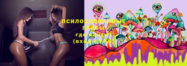 синтетический гашиш Балахна
