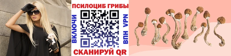 Галлюциногенные грибы GOLDEN TEACHER  закладка  Горняк 